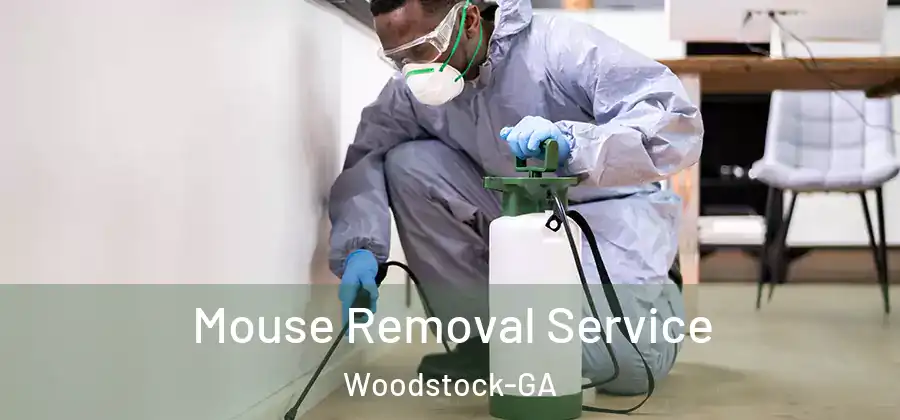 Mouse Removal Service Woodstock-GA