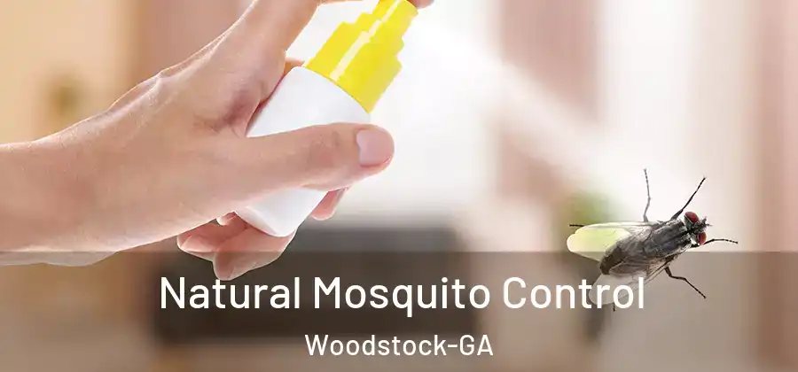 Natural Mosquito Control Woodstock-GA