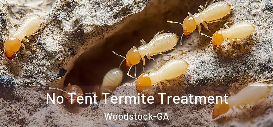 No Tent Termite Treatment Woodstock-GA