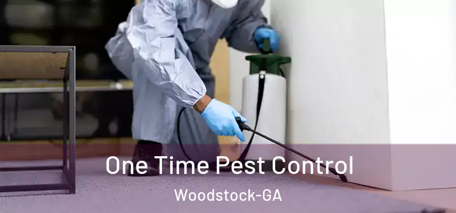One Time Pest Control Woodstock-GA