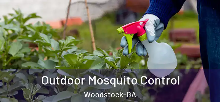 Outdoor Mosquito Control Woodstock-GA