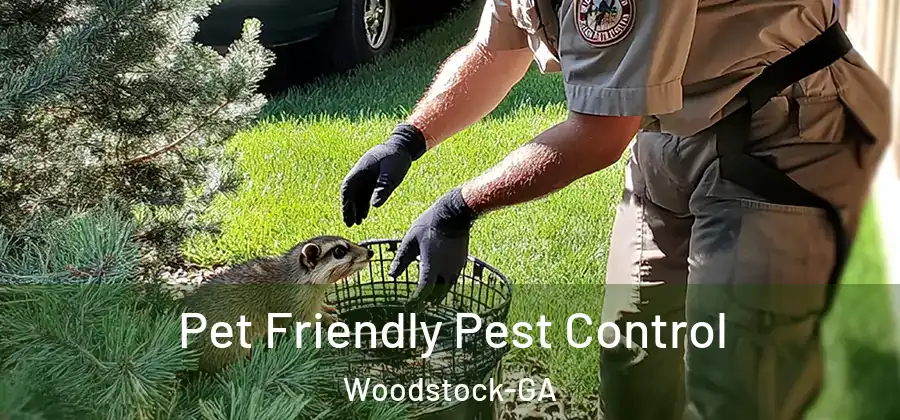 Pet Friendly Pest Control Woodstock-GA