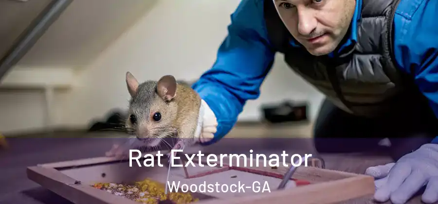 Rat Exterminator Woodstock-GA