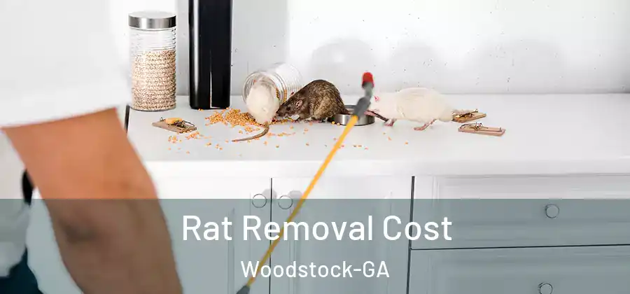 Rat Removal Cost Woodstock-GA