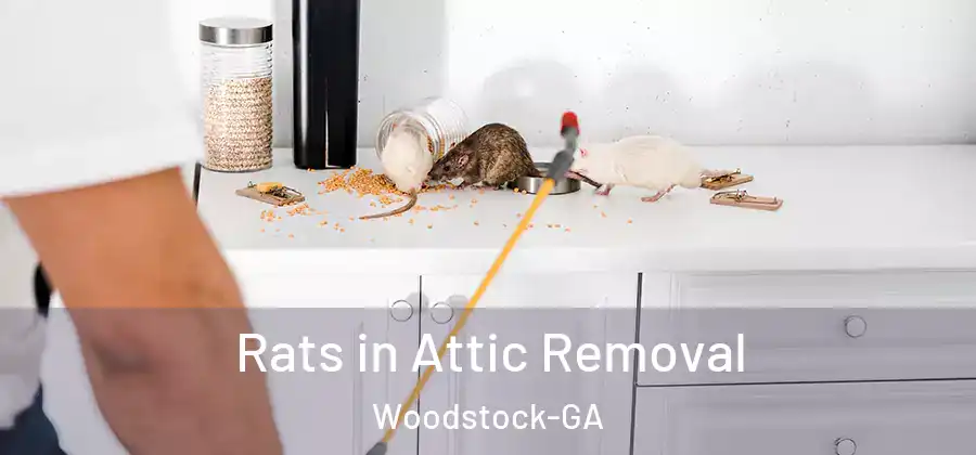  Rats in Attic Removal Woodstock-GA