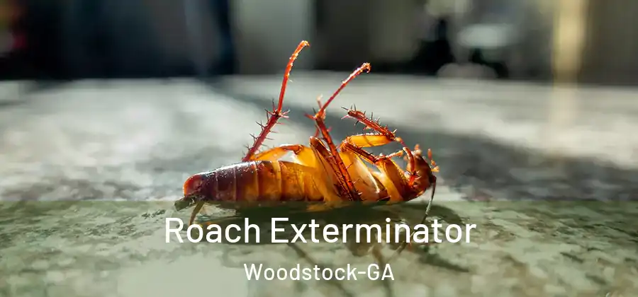 Roach Exterminator Woodstock-GA