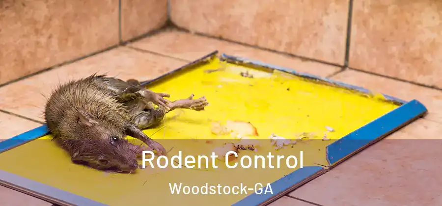 Rodent Control Woodstock-GA