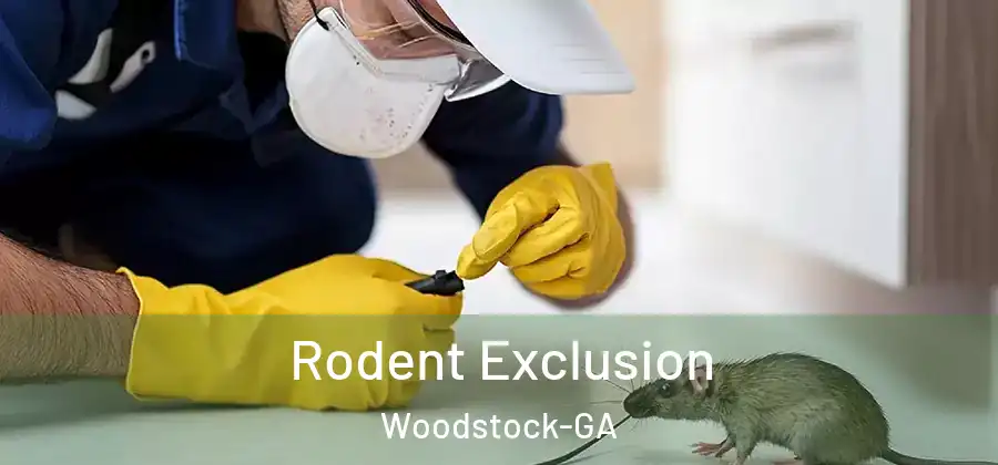 Rodent Exclusion Woodstock-GA