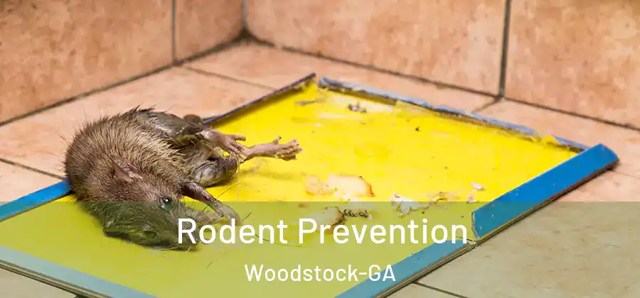 Rodent Prevention Woodstock-GA