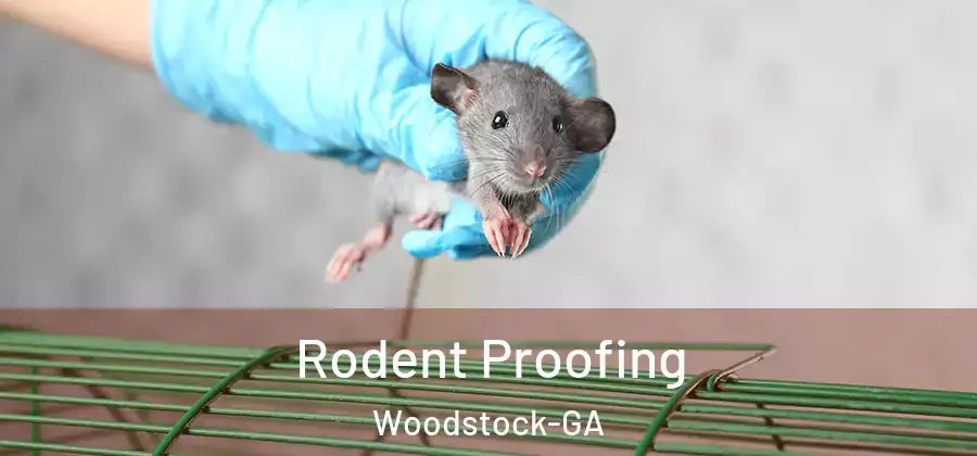 Rodent Proofing Woodstock-GA