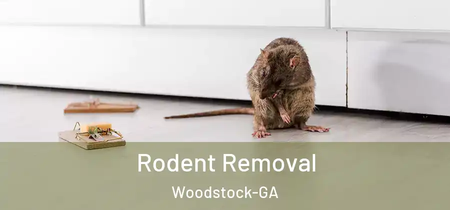 Rodent Removal Woodstock-GA
