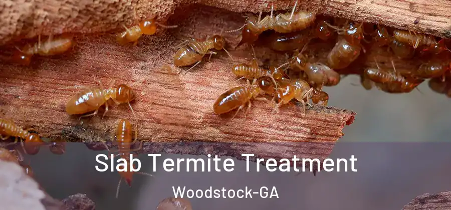 Slab Termite Treatment Woodstock-GA