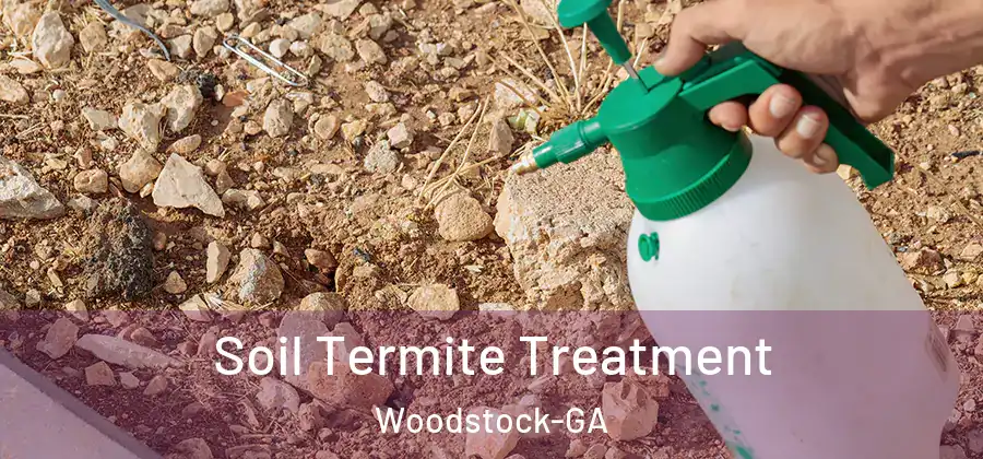 Soil Termite Treatment Woodstock-GA