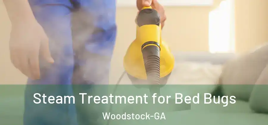 Steam Treatment for Bed Bugs Woodstock-GA