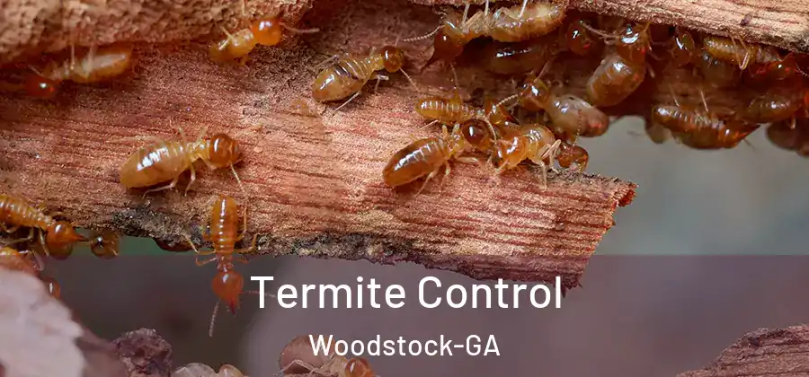 Termite Control Woodstock-GA