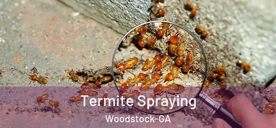 Termite Spraying Woodstock-GA