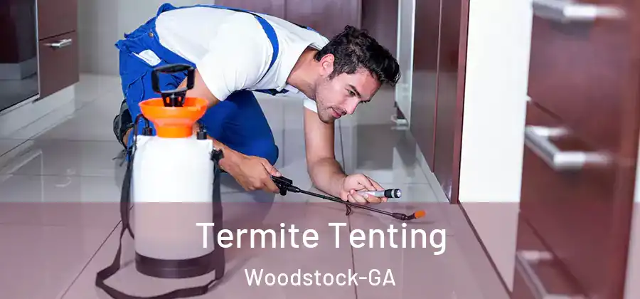 Termite Tenting Woodstock-GA