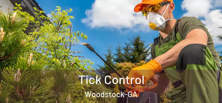 Tick Control Woodstock-GA