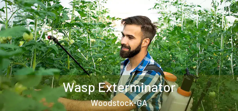Wasp Exterminator Woodstock-GA
