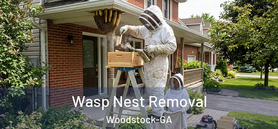 Wasp Nest Removal Woodstock-GA