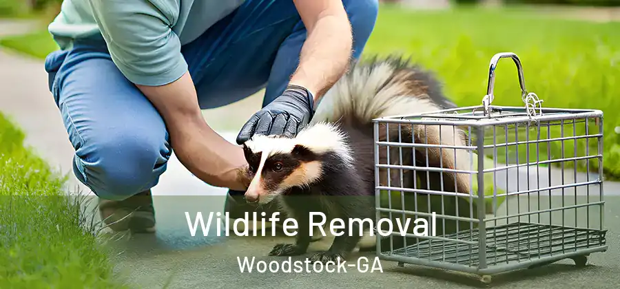 Wildlife Removal Woodstock-GA