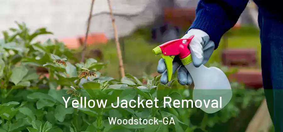 Yellow Jacket Removal Woodstock-GA